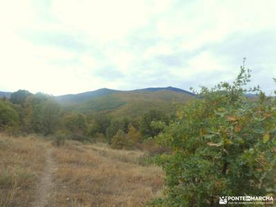 Hayedo La Pedrosa,mar de Robles; monte de el pardo las presillas de rascafria nacimiento río cuervo 